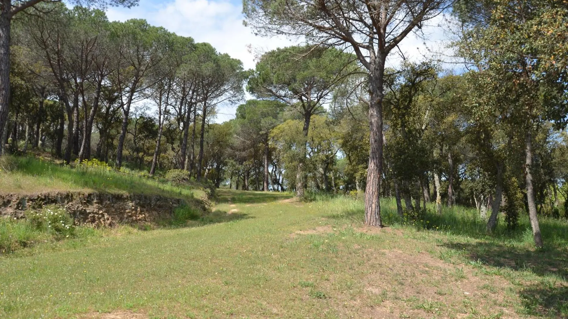 Moli D'En Tarres Villa Santa Cristina d'Aro Holiday home